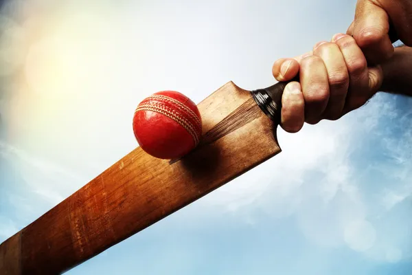 IPL’s Role in Promoting Cricket Literature