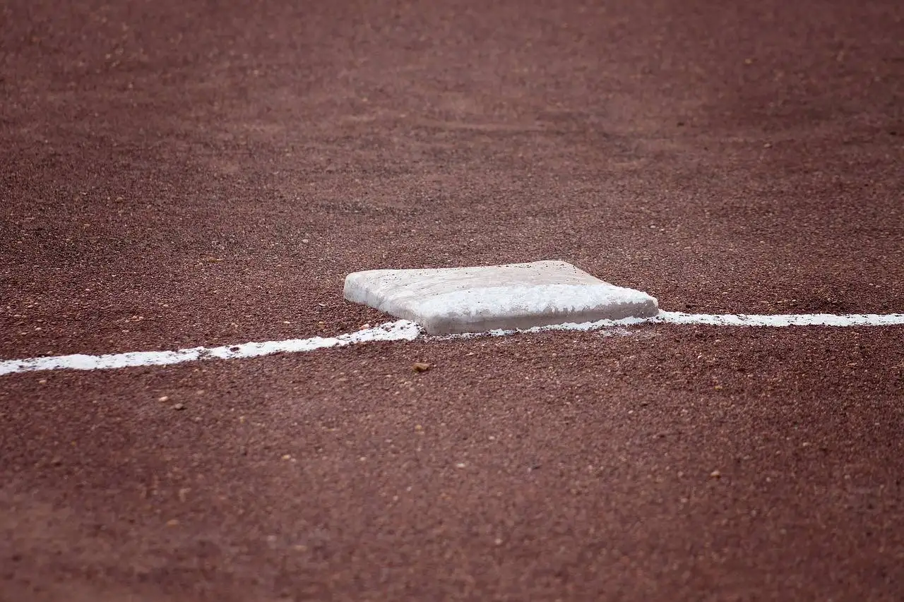 Reddybook Review: Features, Benefits, and How It Stands Against 11xplay Alternatives