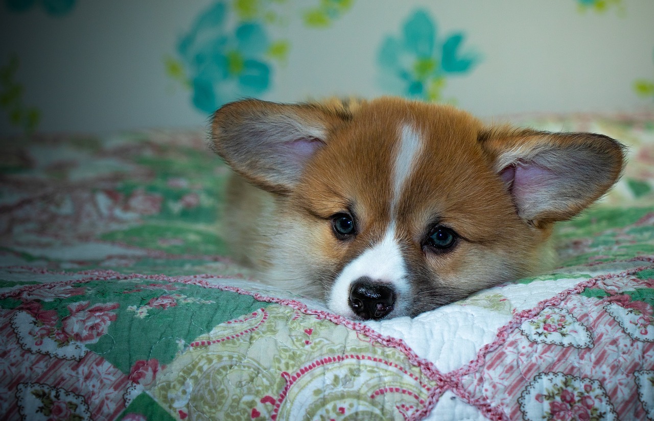 99exch Review: How India’s Emerging Exchange Platform is Transforming Digital Trading